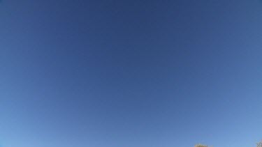 Desert around Uluru. Red sand, ripples in sand. Spinifex Grass tussocks. Spinifex plains desert habitat ecosystem. Sand dune.