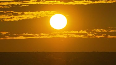 Round sun sunset, yellow sky with thin cirrus clouds.