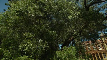 Pan from trees to Government House Perth