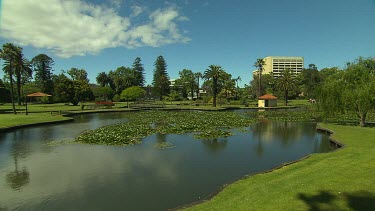 WS Queens Gardens, Perth. Lake with waterlilies.