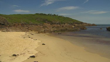 Coastal Sand dunes landscape.