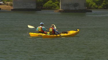 Bottlenose dolphins, top shot, in river, lake. Two people canoeing, kayaking in foreground