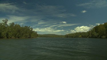 from boat on river, riparian zone on banks of water.