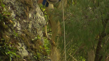 Young woman abseiling down cliff