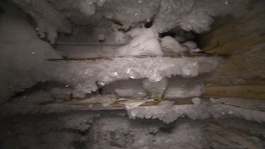 Mawson's Hut Commonwealth Bay-Antarctica