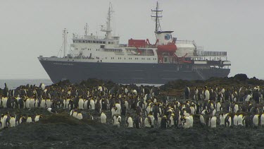 Macquarie Island-Antarctica