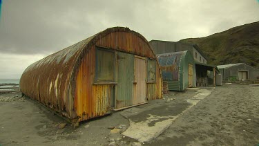 Macquarie Island-Antarctica