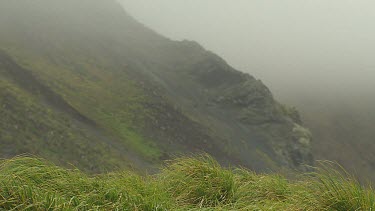 Macquarie Island-Antarctica