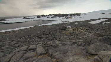 Commonwealth Bays with Icebergs-Antarctica