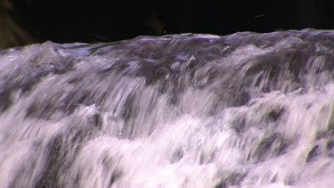 Daintree Scenics