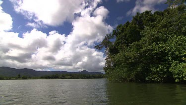 Daintree Scenics