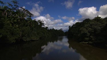 Daintree Scenics