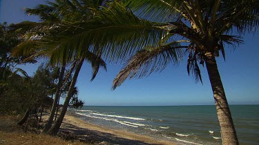 Cairns Scenics