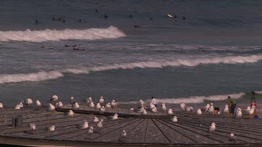 Bondi Beach Scenics