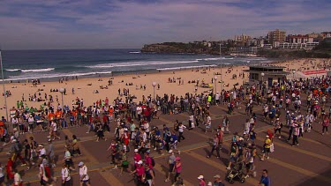 City to Surf