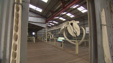 Albany Whale World Scenic