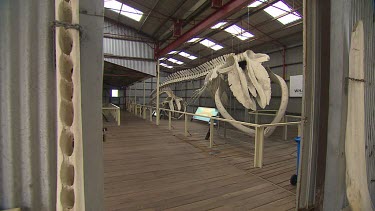 Albany Whale World Scenic
