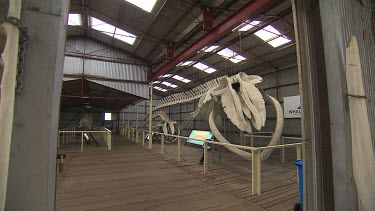 Albany Whale World Scenic