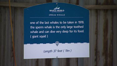 Albany Whale World Scenic