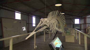 Albany Whale World Scenic