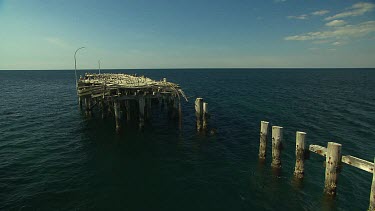 Busselton Jetty Scenic