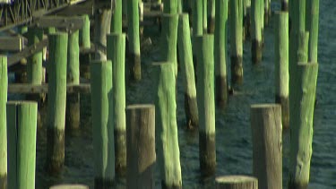 Busselton Jetty Scenic