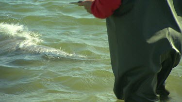 Bunbury Dolphins Scenic