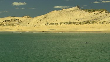 Bunbury Dolphins Scenic
