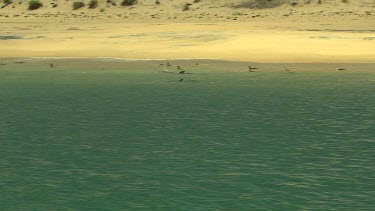Bunbury Dolphins Scenic
