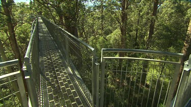 Valley of the Giants Scenic