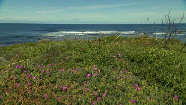 Margaret River Scenic