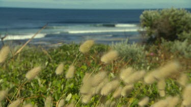 Margaret River Scenic