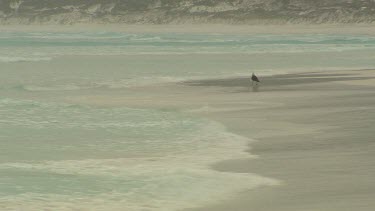 Esperance Beach Scenic