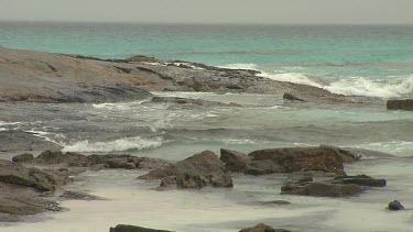 Esperance Flora Scenic