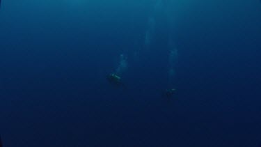 Divers Michele Hall and Rachel Graham