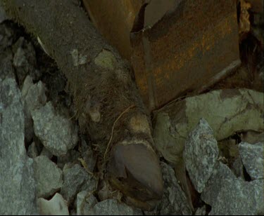 Worn wood and rusting cans. Mawson's Huts. Cape Denison Commonwealth Bay. Australian Antarctic Territory.