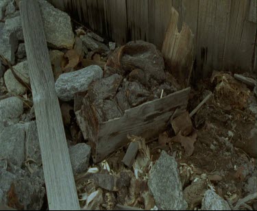 Carcasses of birds, bones and feathered remains. Mawson's Huts. Cape Denison Commonwealth Bay. Australian Antarctic Territory. Could be remains of food from expedition which have not rotted because of...