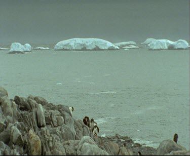 Memorial Cross to Ninnis and Mertz of Mawson expedition. Mackellar Islets with Adelie peguins.