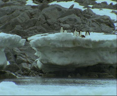 From Adelie Penguins to Mawsons huts. Cape Denison Commonwealth Bay. Australian Antarctic Territory.