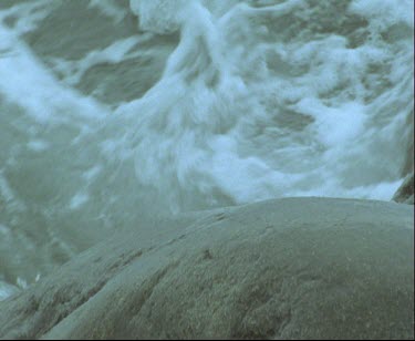 Waves crashing on rocks, penguin hops out of surf.