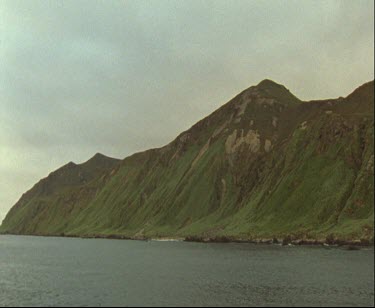 Macquarie Island. Australian Sub-Antarctic base. King penguins in foreground splashing in the water. Swimming, porpoising, leaping out of the water, flying