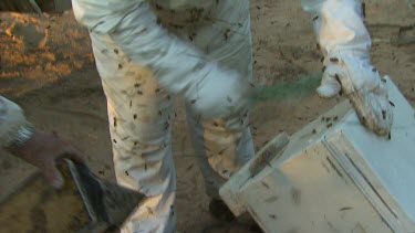 Beekeepers and hives. Beekeepers wear protective suits with helmets and gloves to protect from bee stings.