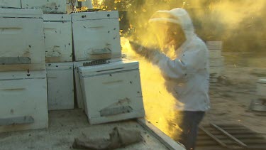 Beekeeper shot against bright orange sunshine, smoking out the bees.