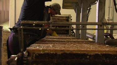 Honey factory. Honey comb and machine extracting honey from comb. Factory workers.