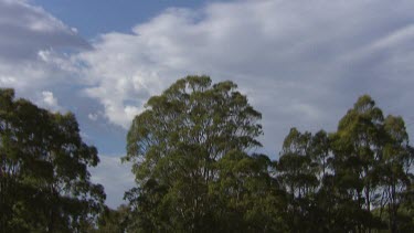 Crop dusting with light plane