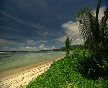 Beach-Papua New Guinea