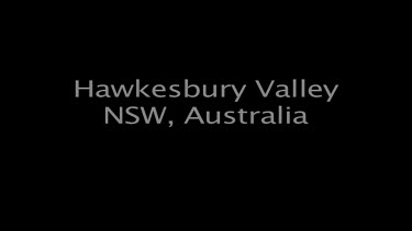 Hawkesbury Valley NSW, Australia