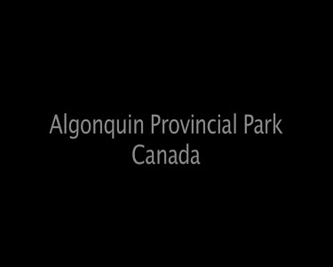 Algonoquin Provincial Park Canada