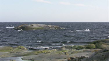 A close up of two seagulls standing at the rocky coastline wathing towards the water.