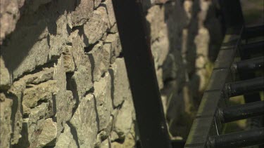 A Great Tit is flying in a wall